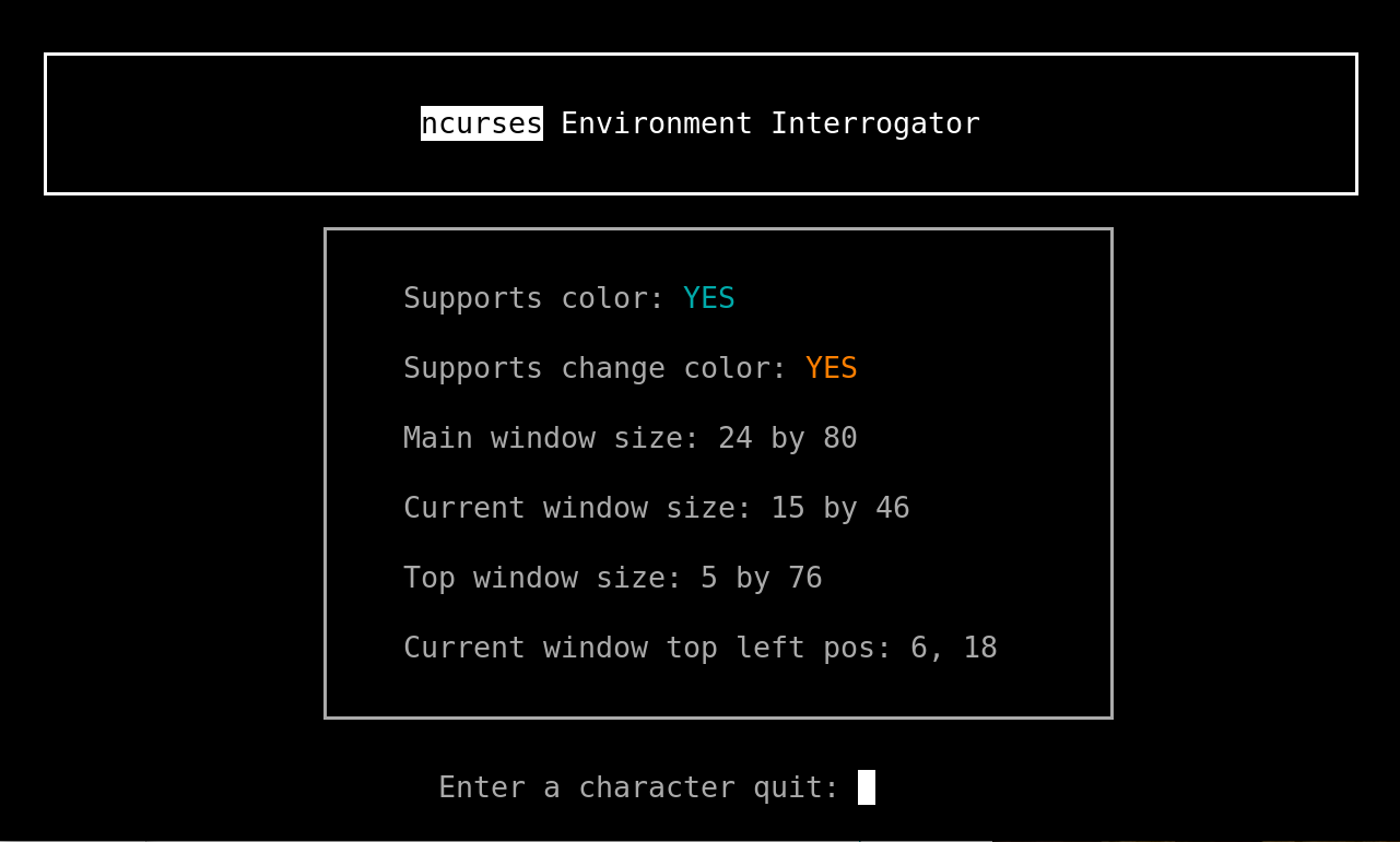 interrogate_env.py screenshot